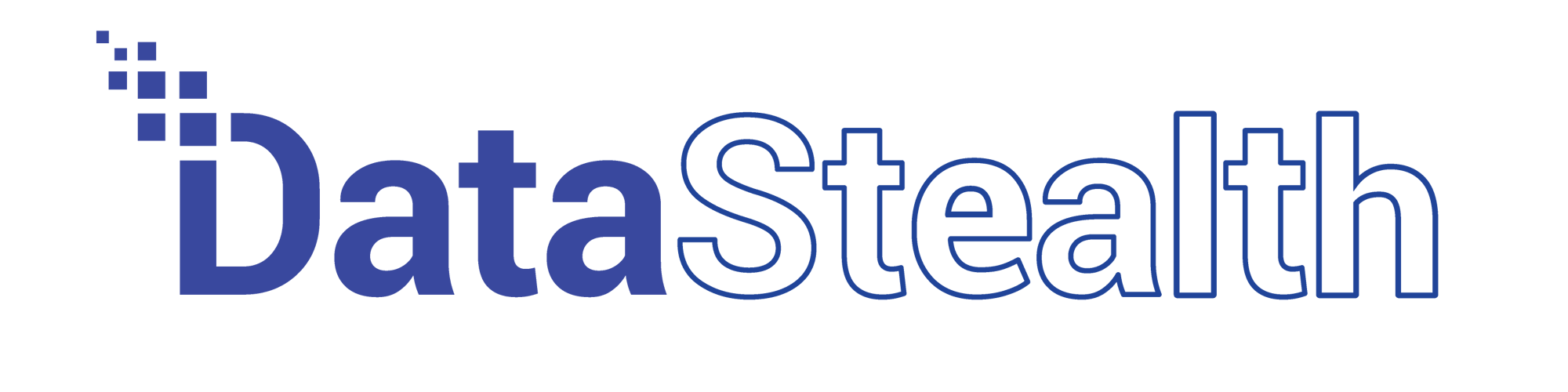 DataStealth Logo Mar2022 Blue FINAL-01