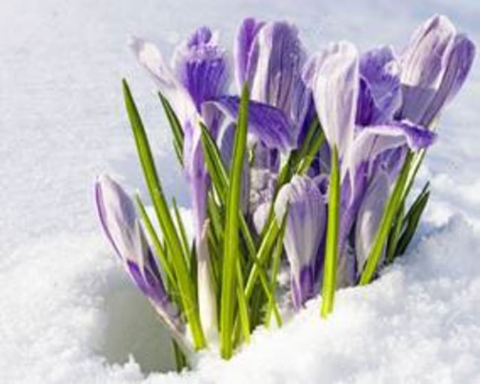 Just like spring - a new version of PCI DSS will come early this year!