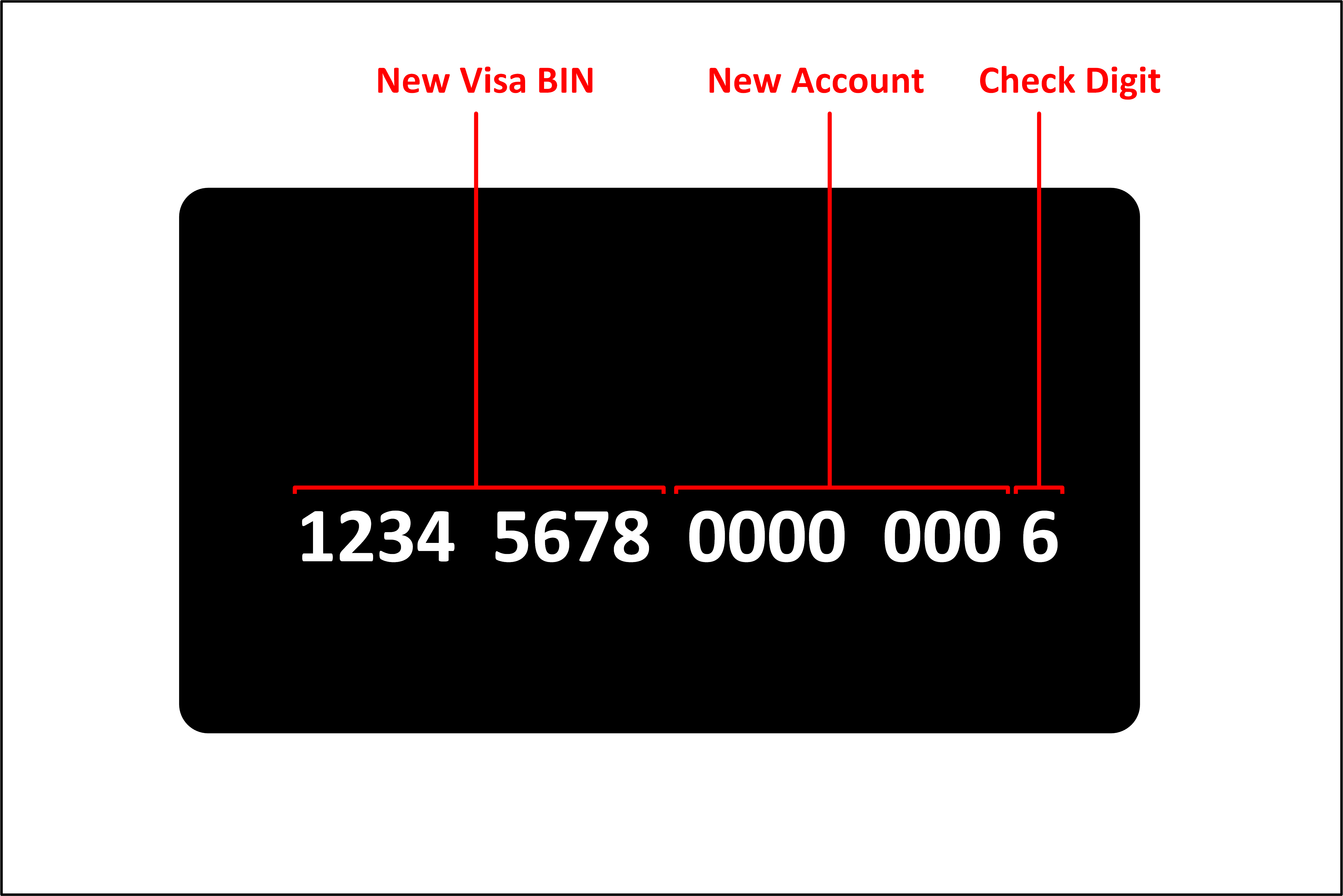 New Visa BIN Structure